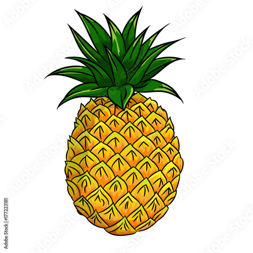 Illustration of Pineapple -Vector Illustration