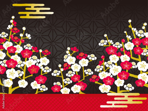 梅の花　イラスト