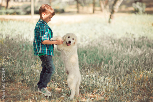 Cute handsome boy teen with blue eyes playing outdoor with amazing white pink labrador retriever puppy enjoying summer sunny day vacation weekend with full happyness.Happy smiling kid with best friend