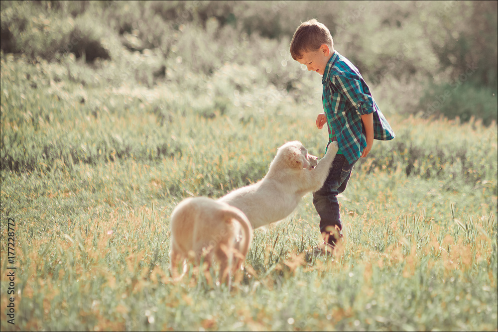 Cute handsome boy teen with blue eyes playing outdoor with amazing white pink labrador retriever puppy enjoying summer sunny day vacation weekend with full happyness.Happy smiling kid with best friend Cute handsome boy teen with blue eyes playing outdoor with amazing white pink labrador retriever puppy enjoying summer sunny day vacation weekend with full happyness.Happy smiling kid with best friend