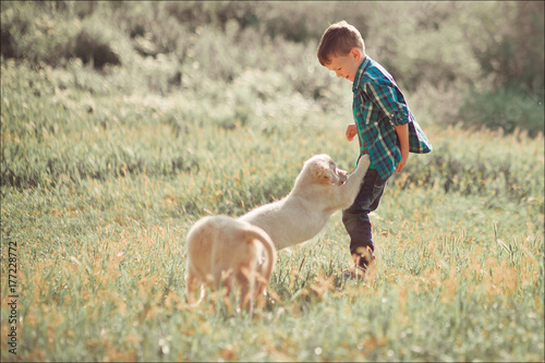 Cute handsome boy teen with blue eyes playing outdoor with amazing white pink labrador retriever puppy enjoying summer sunny day vacation weekend with full happyness.Happy smiling kid with best friend