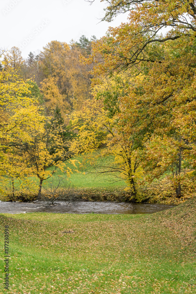 Fototapeta premium Autumn view in the park