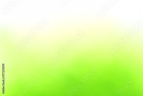 Blurred background from leaves and sky with natural