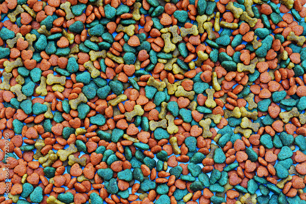 Close up dry dog food for background Close up dry dog food for background