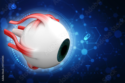 3d rendering Human eye structure