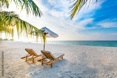 Fototapeta Naklejka Na Ścianę i Meble -  Perfect beach view. Summer holiday and vacation design. Inspirational tropical beach, palm trees and white sand. Tranquil scenery, relaxing beach, tropical landscape design. Moody landscape