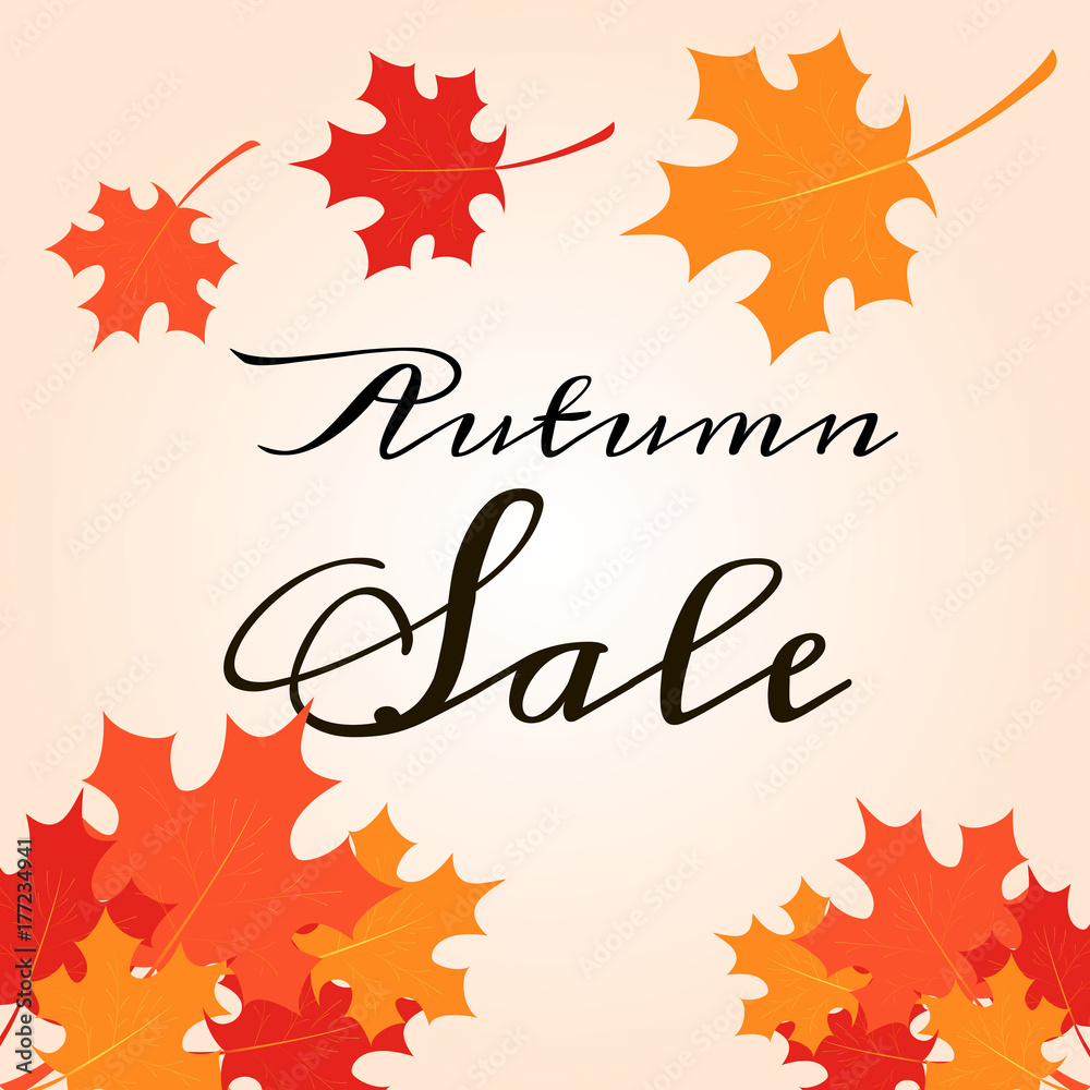 Vector template for sale autumn banner. Red, orange and yellow maple leaves. EPS10. Design elements for banner, card, poster, web. Vector template for sale autumn banner. Red, orange and yellow maple leaves. EPS10. Design elements for banner, card, poster, web.