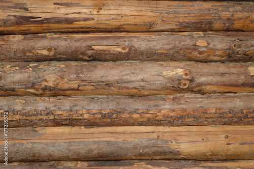 Hewed wall of modern log house from outside, wooden surface