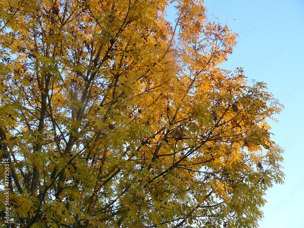 Landschaft Landschaft