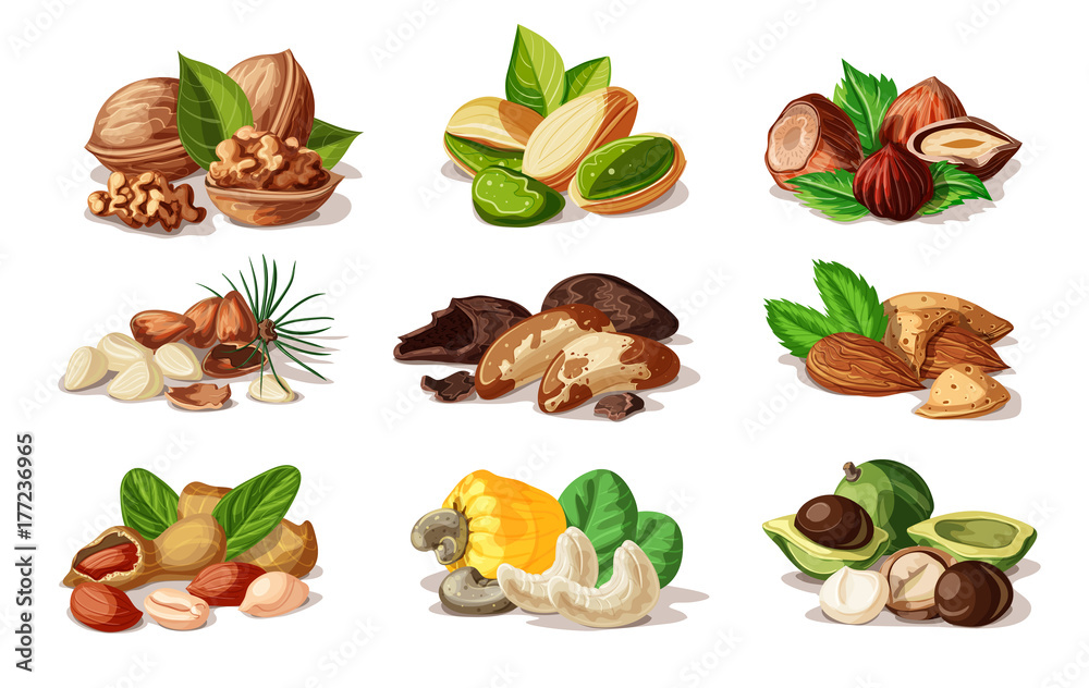 Cartoon Colorful Nuts Set Cartoon Colorful Nuts Set