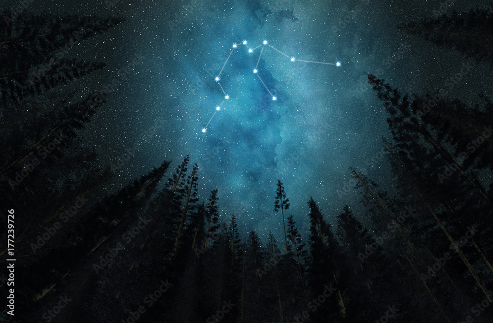 Naklejka premium Constellation Aquarius. Night sky. Stars. Horoscope.