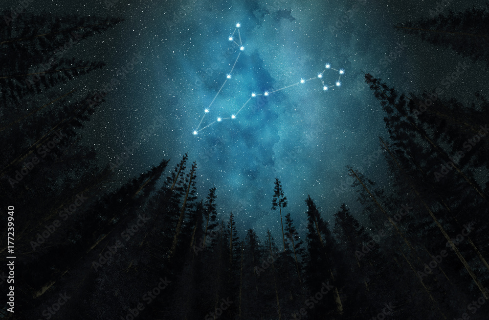 Fototapeta premium Constellation Pisces. Night sky. Stars. Horoscope.