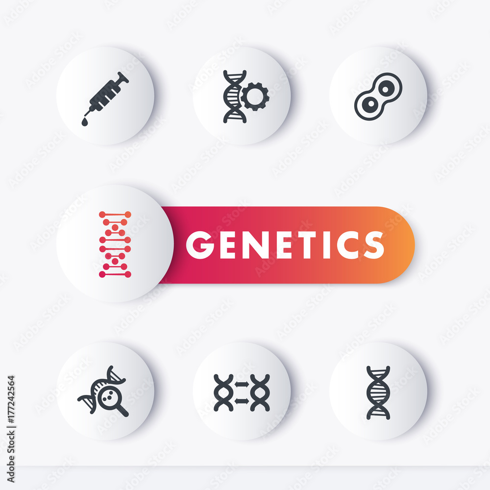 genetics icons set, genetic modification, research, dna chains, vector illustration