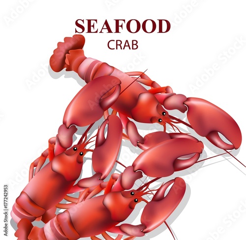 Shrimps isolated on white. Realistic Vector seafoods