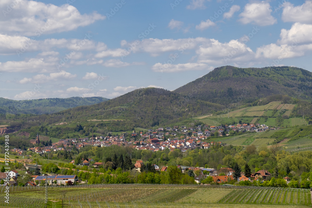 Blick auf das Weindorf Albersweiler