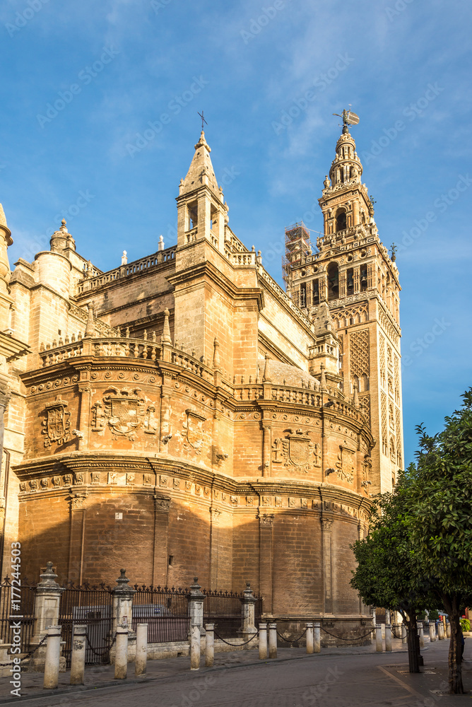 View at the Cathedral of Sevilla wirh Giralda - Spain