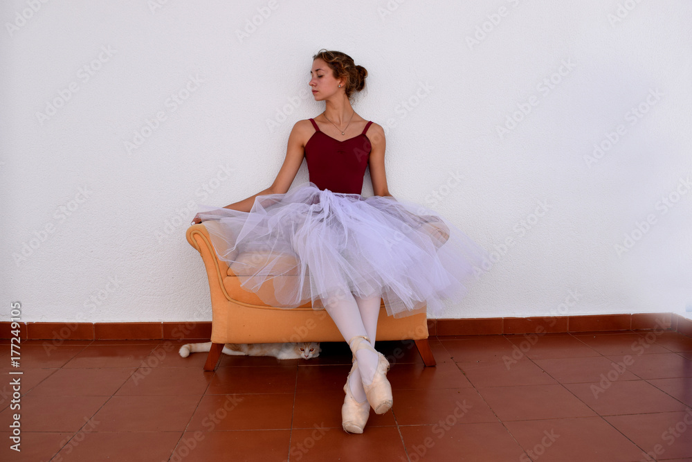 Fototapeta premium Ballerina and a cat...