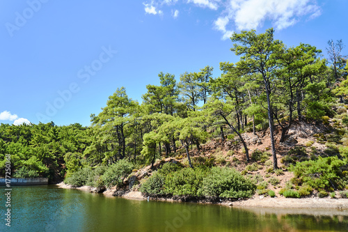 Lake and pine forest on the island of Rhodes .