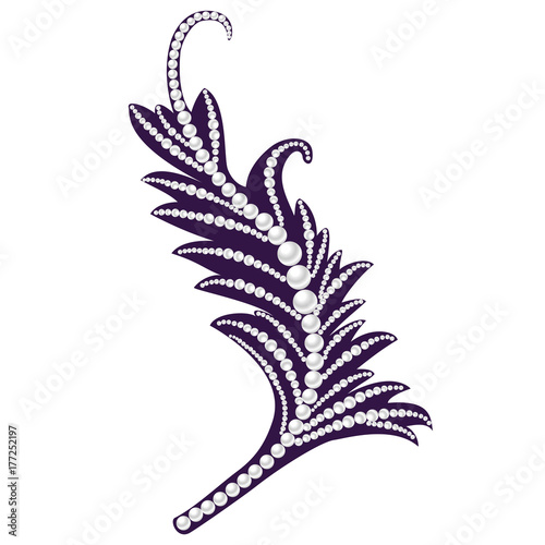 jewelry feather. Decorative piece of jewelry