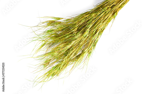 Bouquet Dry Grass flowers and plants for decoration in home isolated on white background , can be used for Bringing to retouching or montage anything your products.