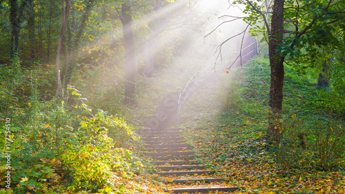Fototapeta Naklejka Na Ścianę i Meble -  Treppe mit Sonnenstrahlen durch Nebel an einem Herbstmorgen