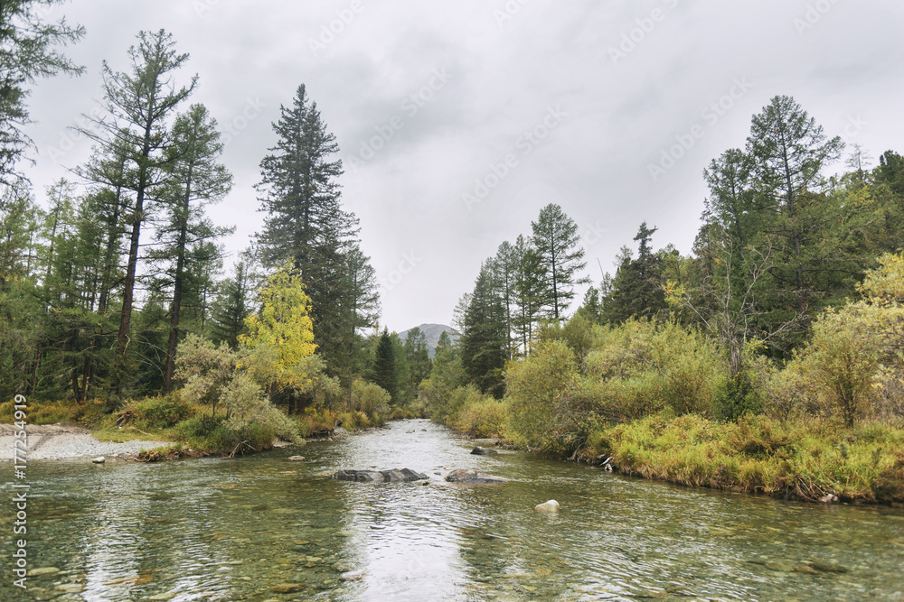 River. Altai Mountains Autumn landscape River. Altai Mountains Autumn landscape