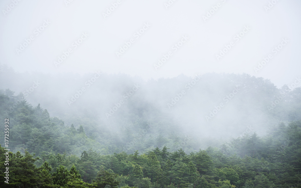Plakat Góra zapakowana w poranną mgłę