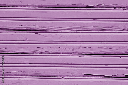 Violet grungy wooden wall pattern.