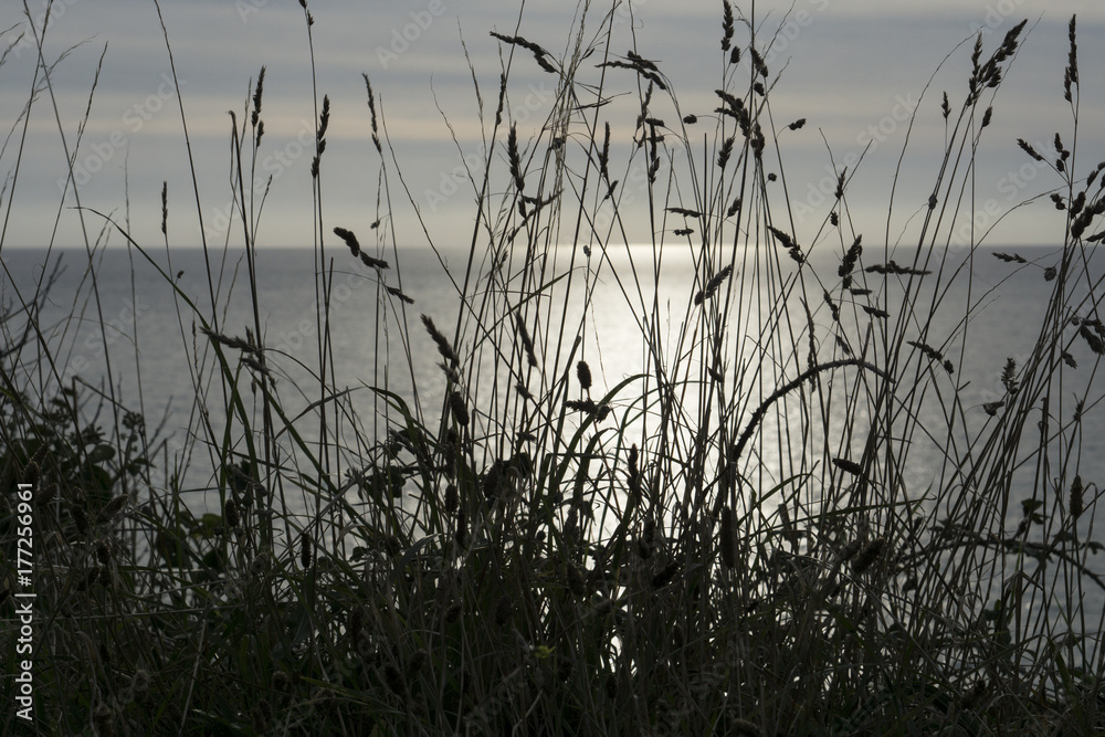 Fototapeta premium Sunset at sea
