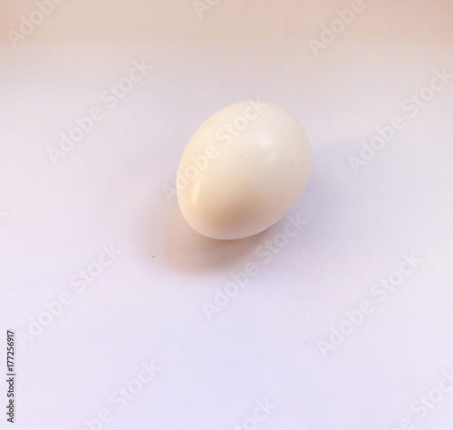 White raw chicken egg on white background