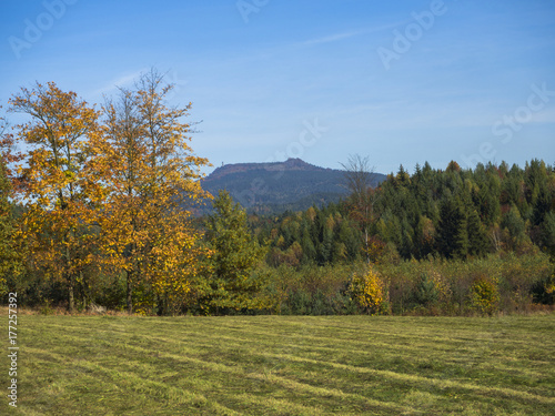meadow with autumn colorful forest and trees and hills with lookout tower and blue sky landscape in luzicke hory mountain