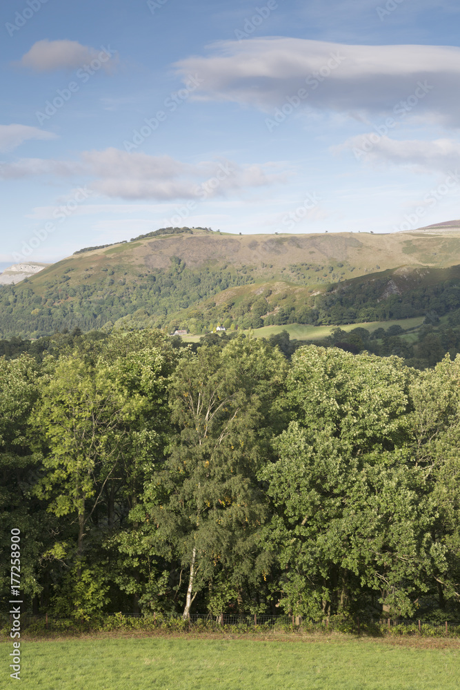 Countryside in Dee Valley outside Llangollen; Wales