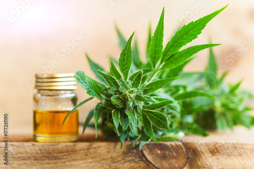 CBD oil hemp products