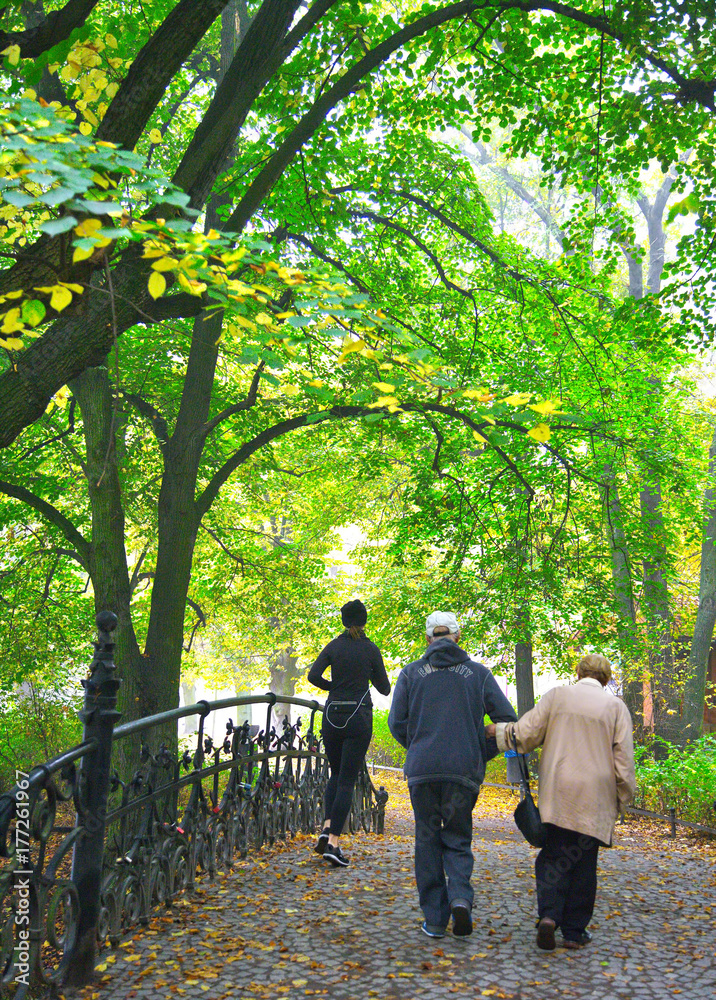 Obraz premium Senior couple enjoying walking in foggy autumn Park