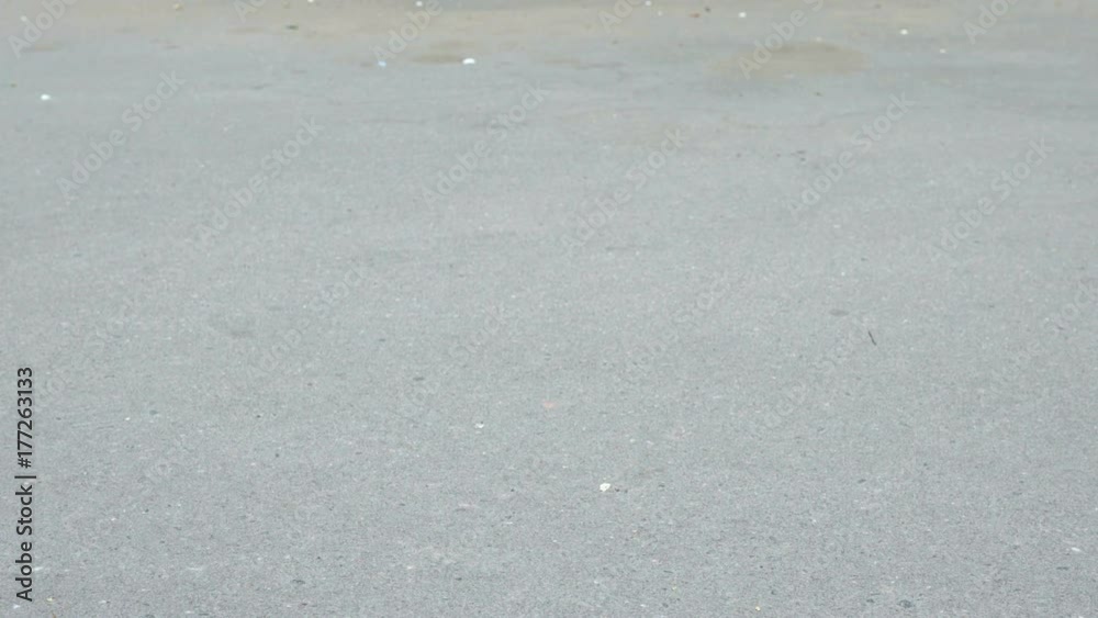 Child rides a scooter in a summer park. Carefree childhood, summer, happiness and sport activity concept Child rides a scooter in a summer park. Carefree childhood, summer, happiness and sport activity concept