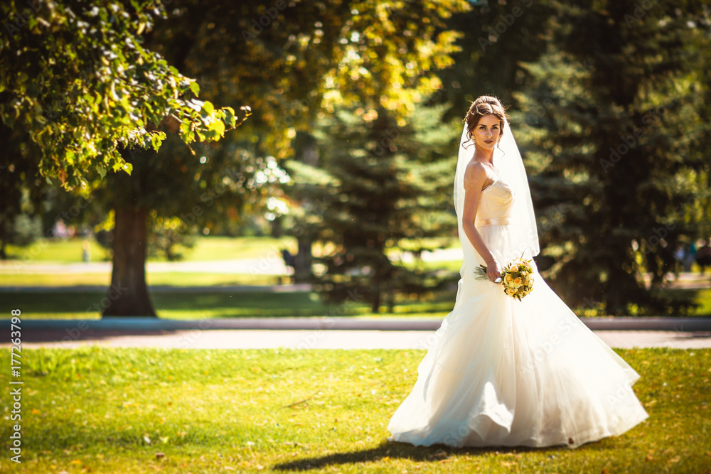 The beautiful brunette bride on a walk in park The beautiful brunette bride on a walk in park