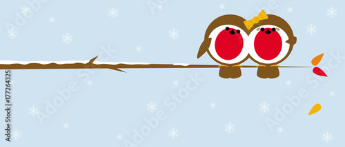 christmas robins on branch