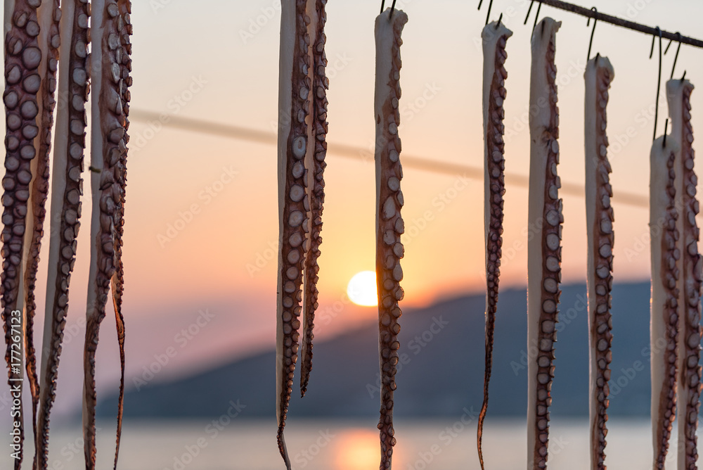 Octopus hanging on a line at sunset. Octopus hanging on a line at sunset.