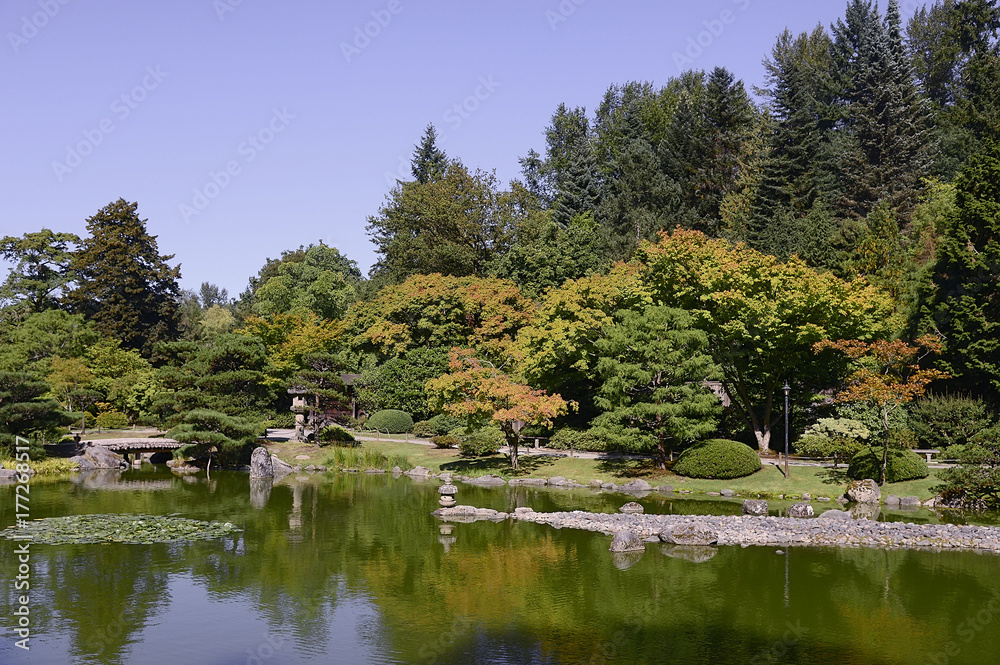 Beautiful autumn japanese garden in Seattle Beautiful autumn japanese garden in Seattle