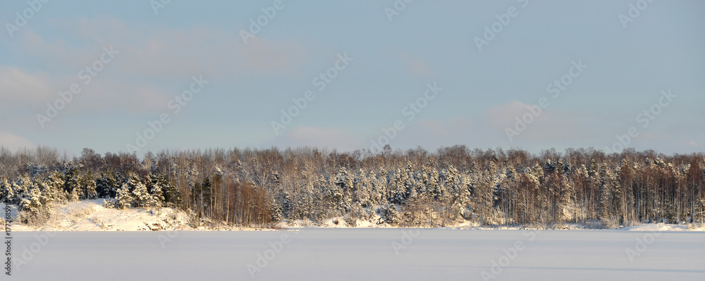 Fototapeta premium Beautiful winter landscape
