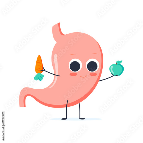 Strong healthy happy stomach character with broccoli and apple. Vector flat cartoon illustration icon design.