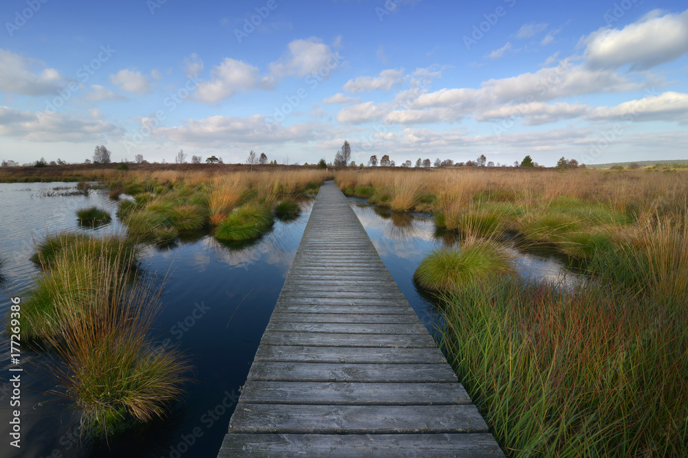 Hohes Venn im Herbst