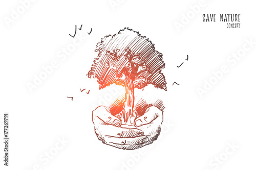 Save nature concept. Hand drawn human hands with tree. Caring for green planet isolated vector illustration.