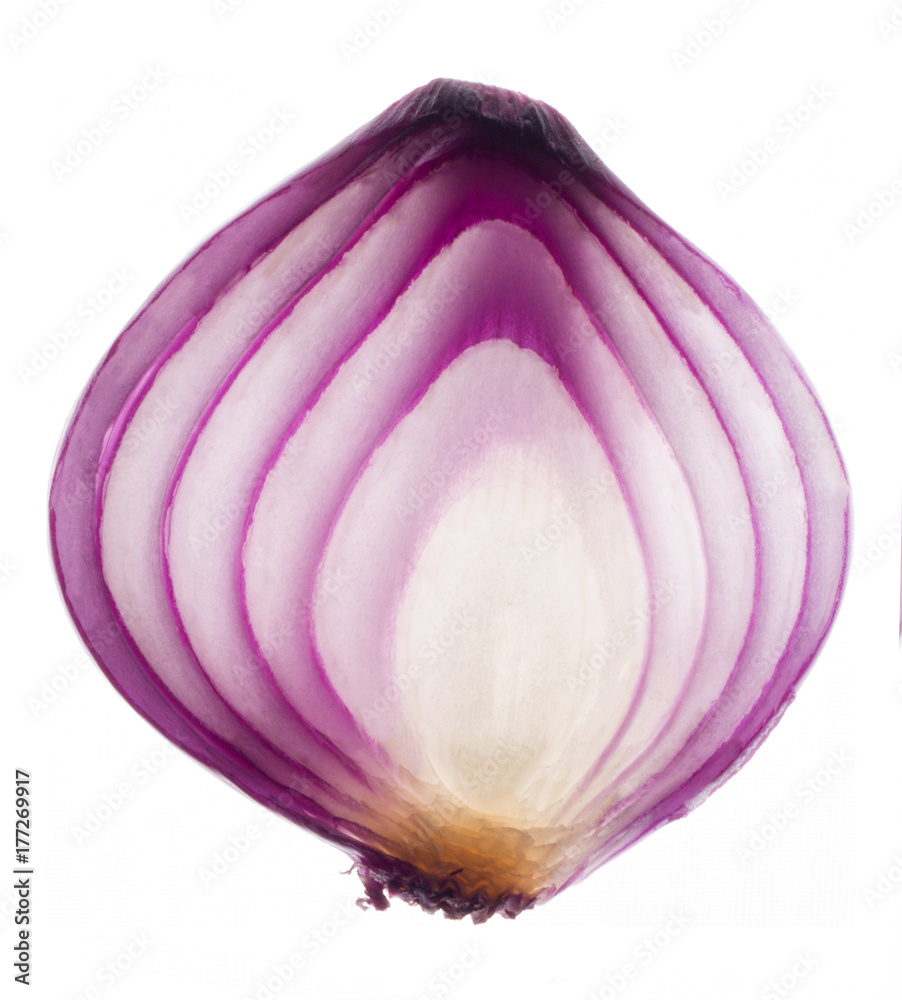 Obraz premium Onion