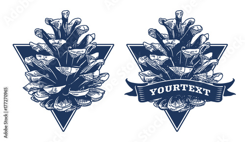Pine cone - hand drawn vector illustration