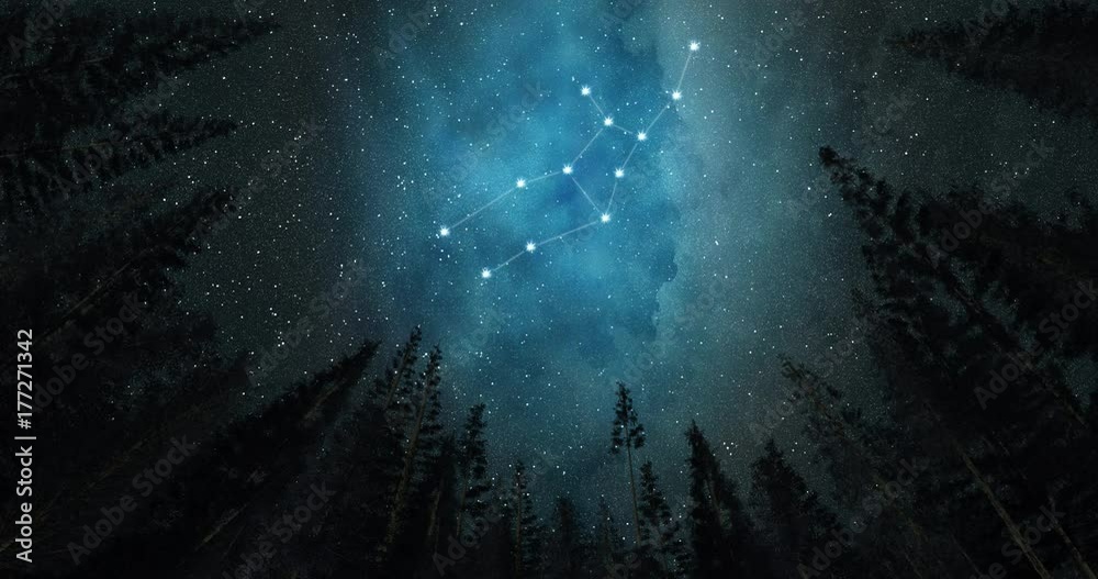 Constellation Virgo. Night sky. Stars. Horoscope.