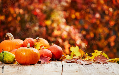 pumpkins on a table with autumn leaves photo