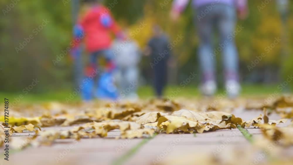 Fall park background. Beautiful nature scene of Autumn Leaves. People walk about with in autumn park. Slow Motion. Fall park background. Beautiful nature scene of Autumn Leaves. People walk about with in autumn park. Slow Motion.