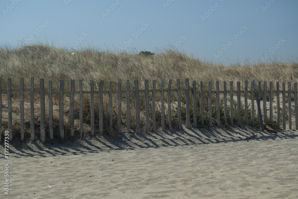 Obraz premium Steccato su spiaggia