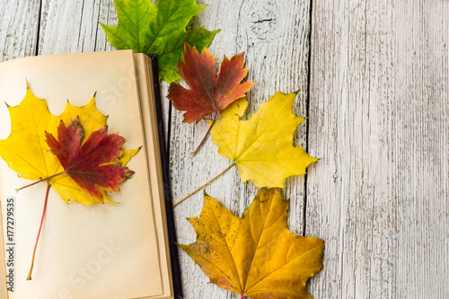 Open Book and colorful maple leaves on white wooden background photo